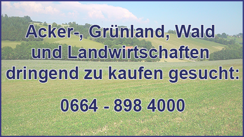 Immobiliensuche